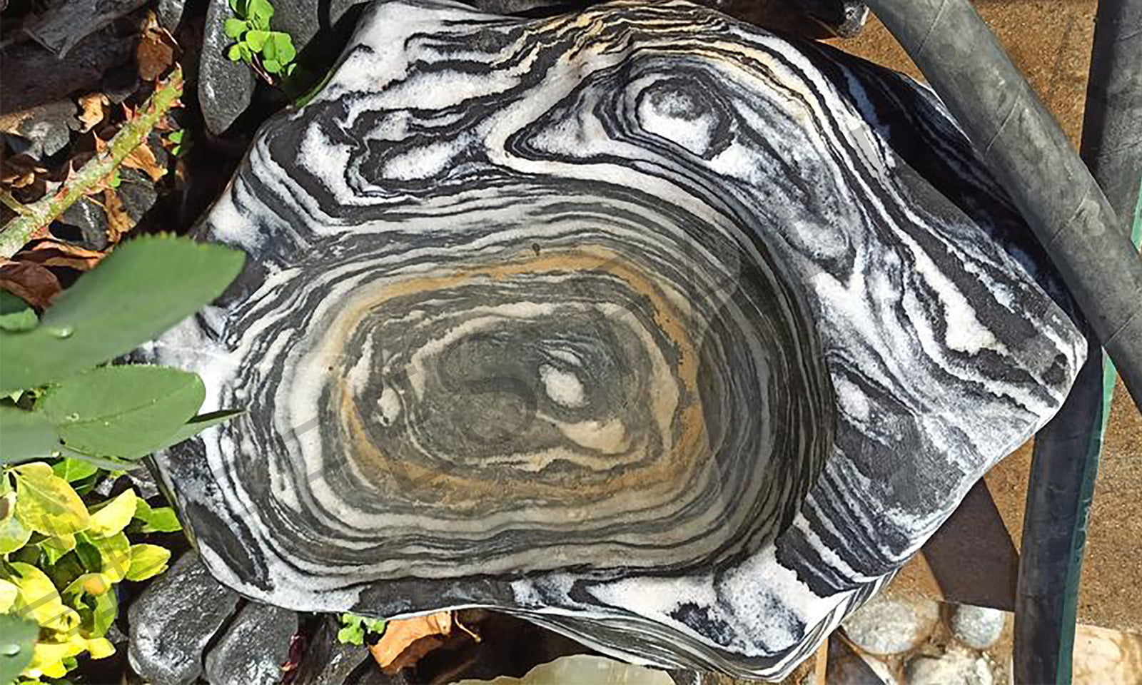 black angel natural bird bath