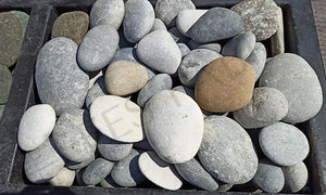 pebble stone 